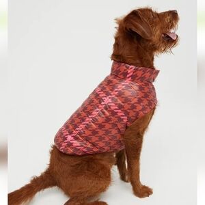 NWT Aerie OFFLEASH Nylon Dog Vest